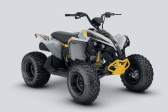 Can-am Renegade EFI 110 2026