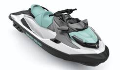 Sea-Doo GTX PRO 130 IBR 2026 White / Neo Mint