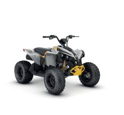 Can-Am Renegade 110 EFI 2023