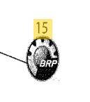 LOGO BRP LICZNIKA  704904616 219902677  516006224