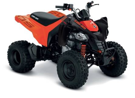 Can-Am DS 250 2023