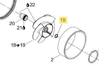 O-RING BRP 293300114